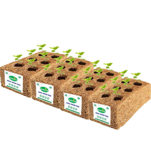 Grow Rich coir seed grow pad