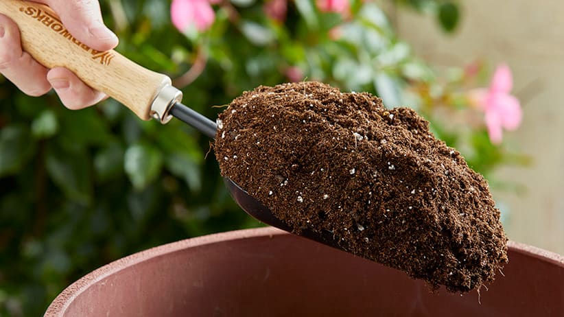 Grow Rich Potting Soil