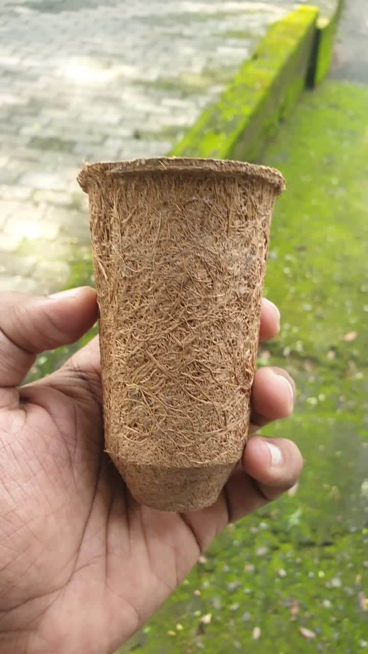 grow rich Coir root trainers