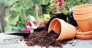 Grow rich soil for ornamental plants